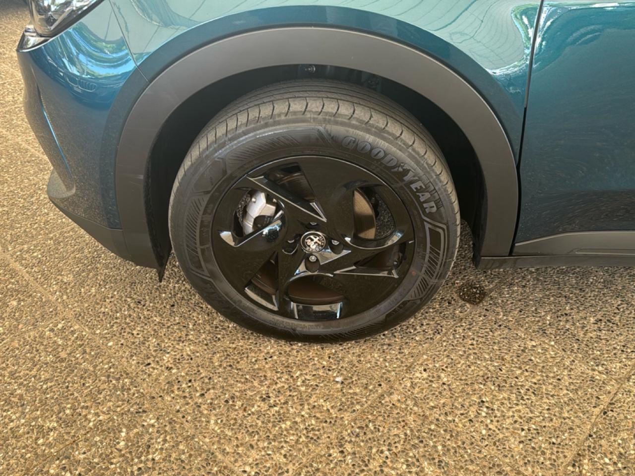 Alfa Romeo Alfa Romeo Junior usata 15