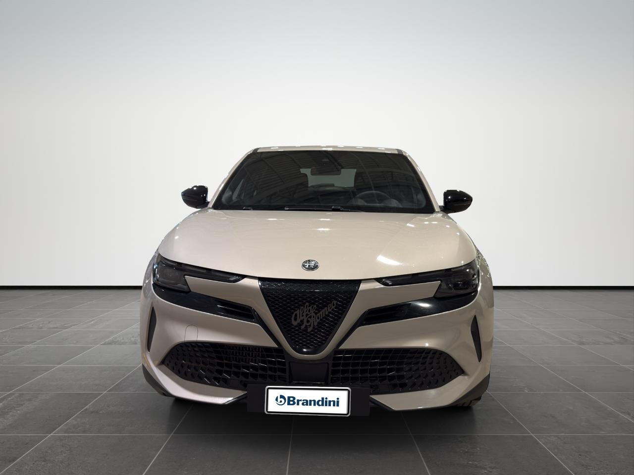 Alfa Romeo Alfa Romeo Junior usata 11