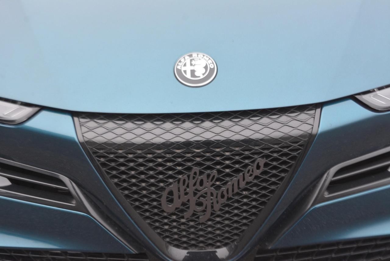 Alfa Romeo Alfa Romeo Junior usata 13