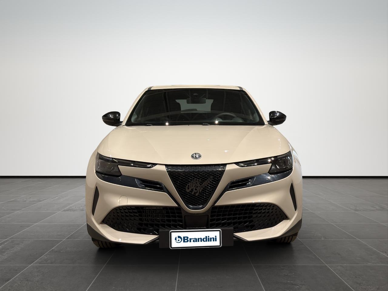 Alfa Romeo Alfa Romeo Junior usata 11