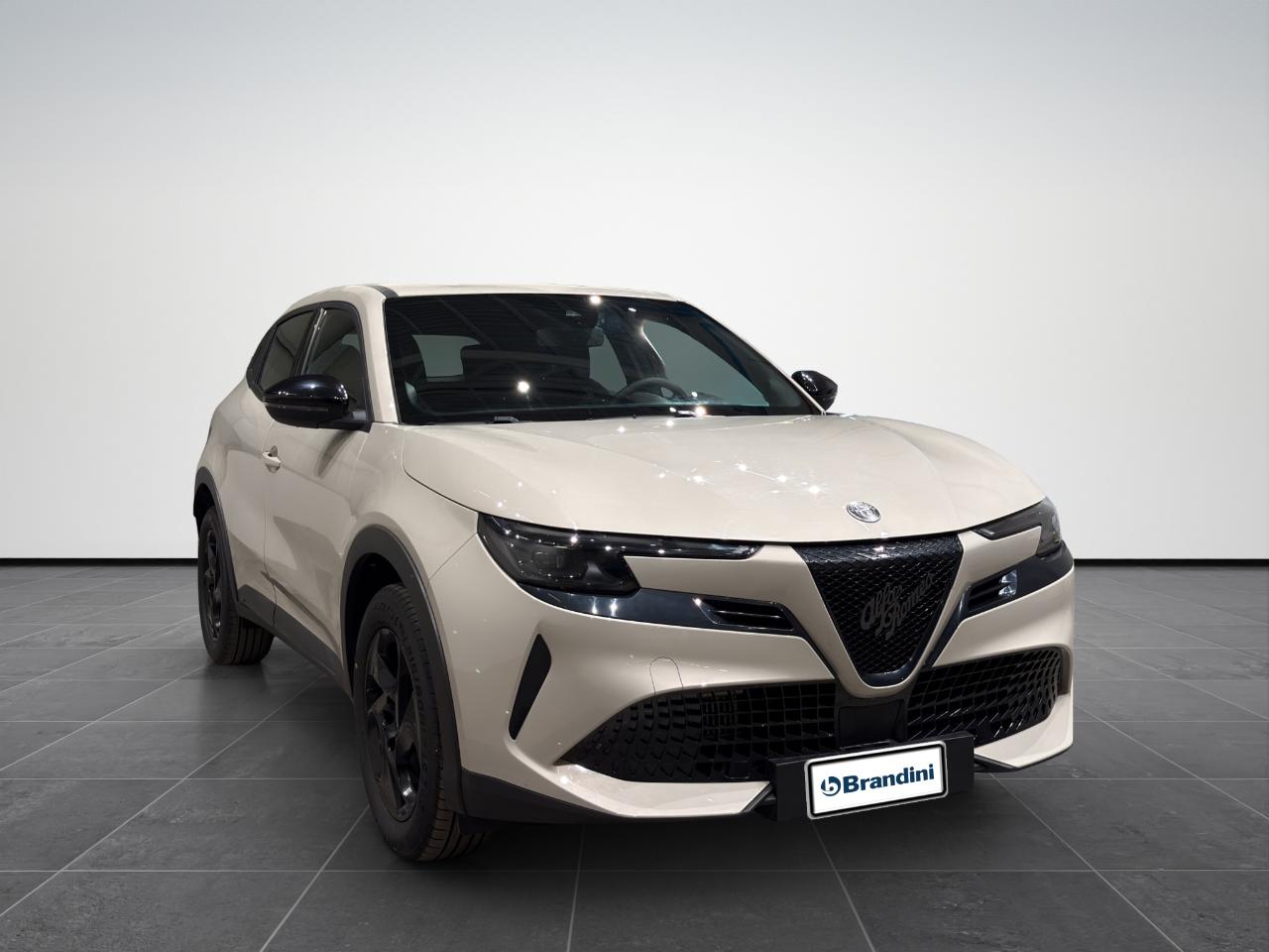 Alfa Romeo Alfa Romeo Junior usata 17
