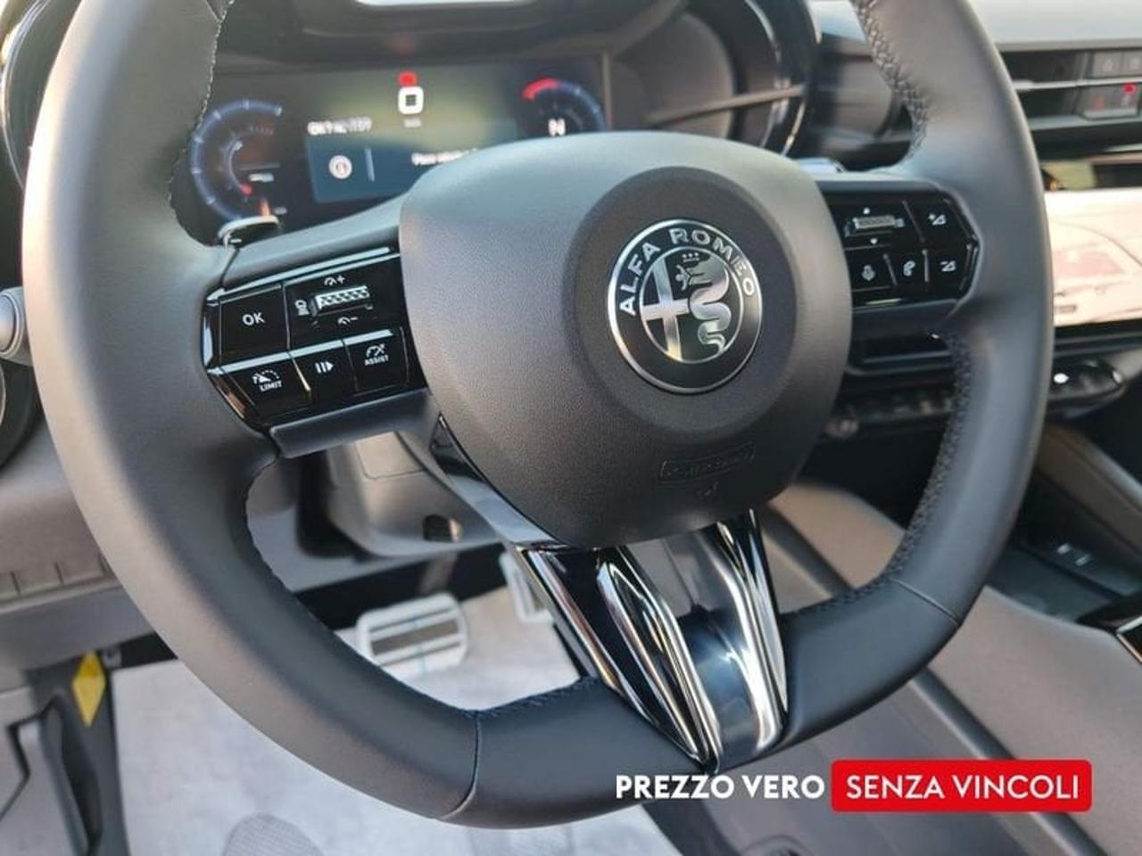 Alfa Romeo Alfa Romeo Junior usata 14