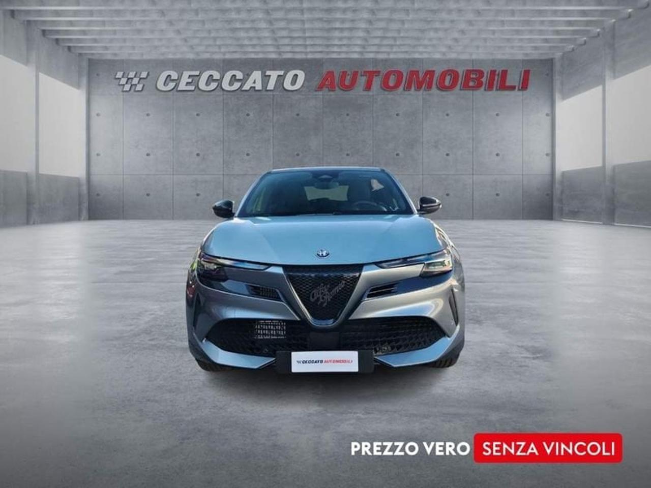 Alfa Romeo Alfa Romeo Junior usata 19