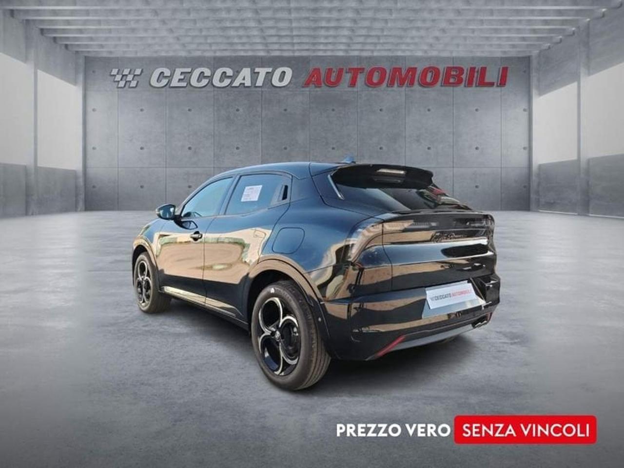 Alfa Romeo Alfa Romeo Junior usata 18