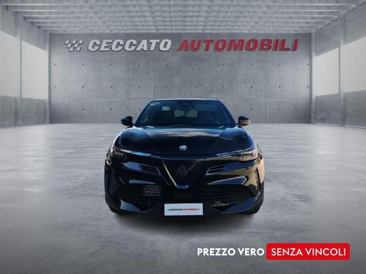Alfa Romeo Alfa Romeo Junior usata 19