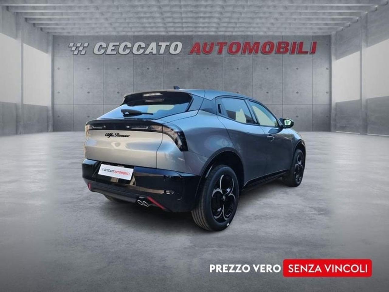 Alfa Romeo Alfa Romeo Junior usata 8