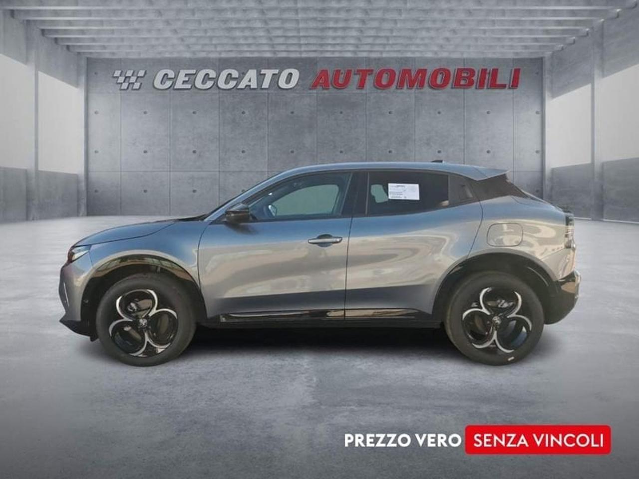 Alfa Romeo Alfa Romeo Junior usata 11
