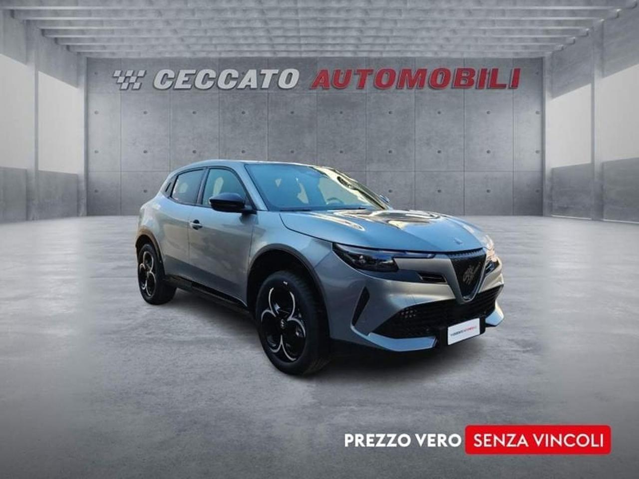 Alfa Romeo Alfa Romeo Junior usata 7