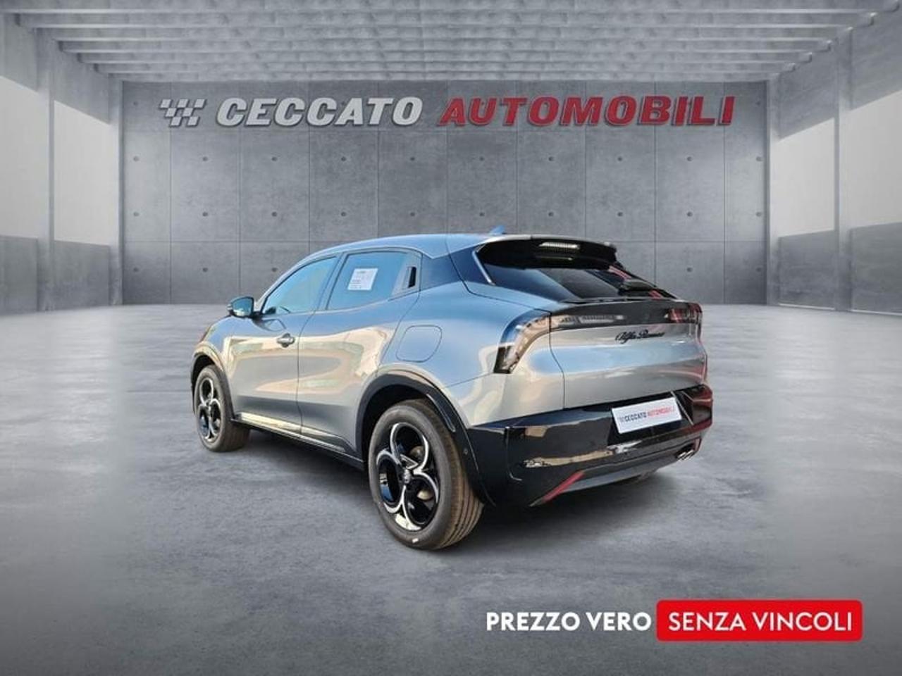 Alfa Romeo Alfa Romeo Junior usata 18