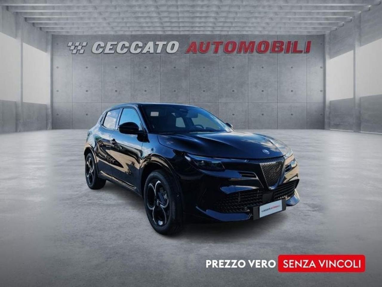 Alfa Romeo Alfa Romeo Junior usata 9