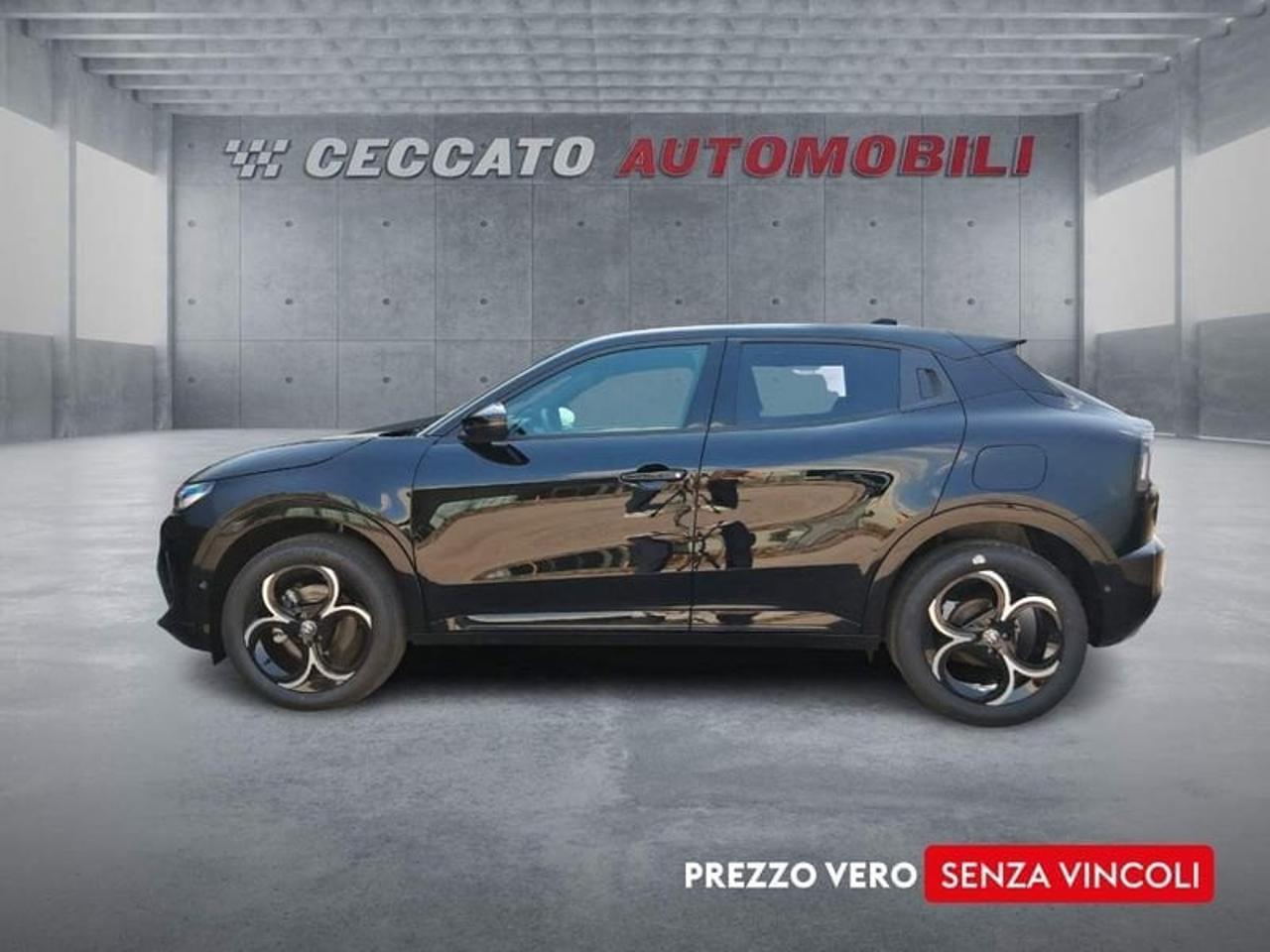 Alfa Romeo Alfa Romeo Junior usata 11