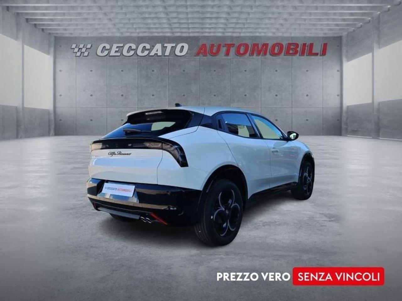 Alfa Romeo Alfa Romeo Junior usata 12