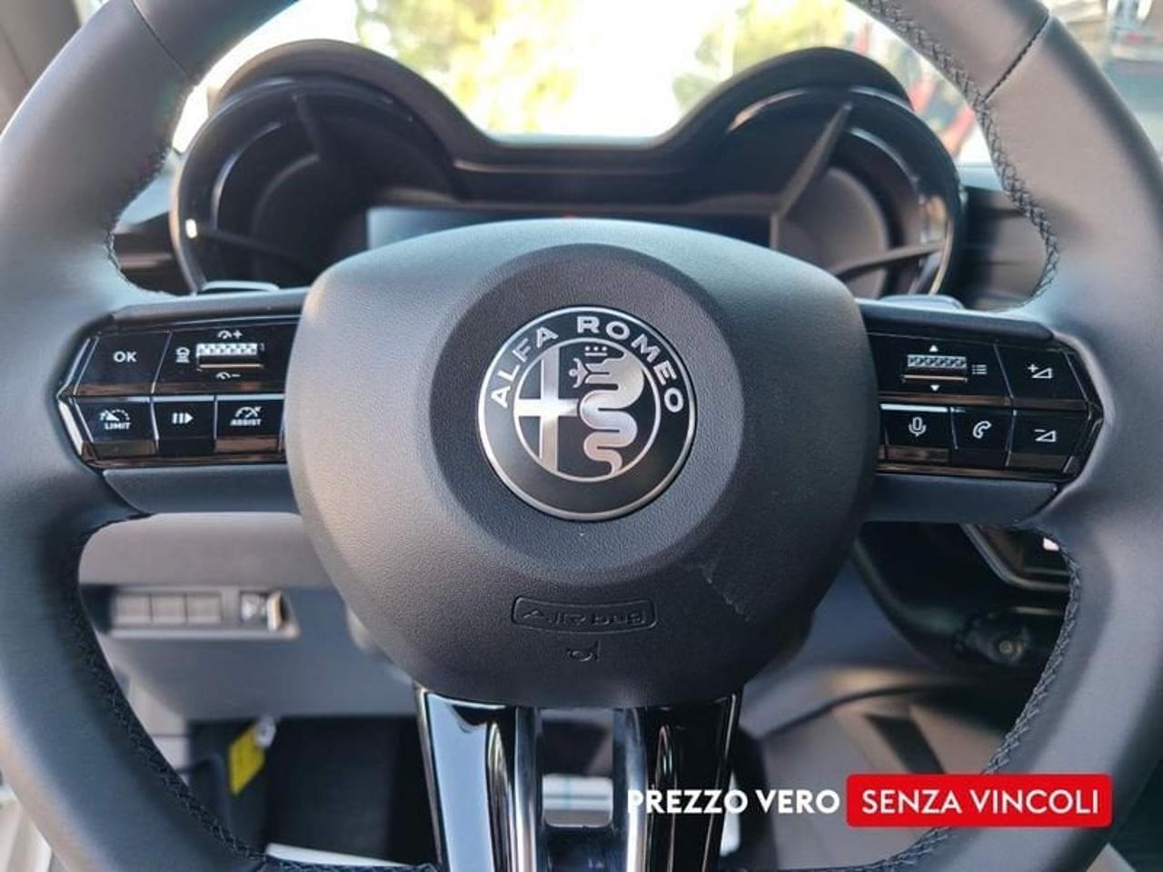 Alfa Romeo Alfa Romeo Junior usata 16
