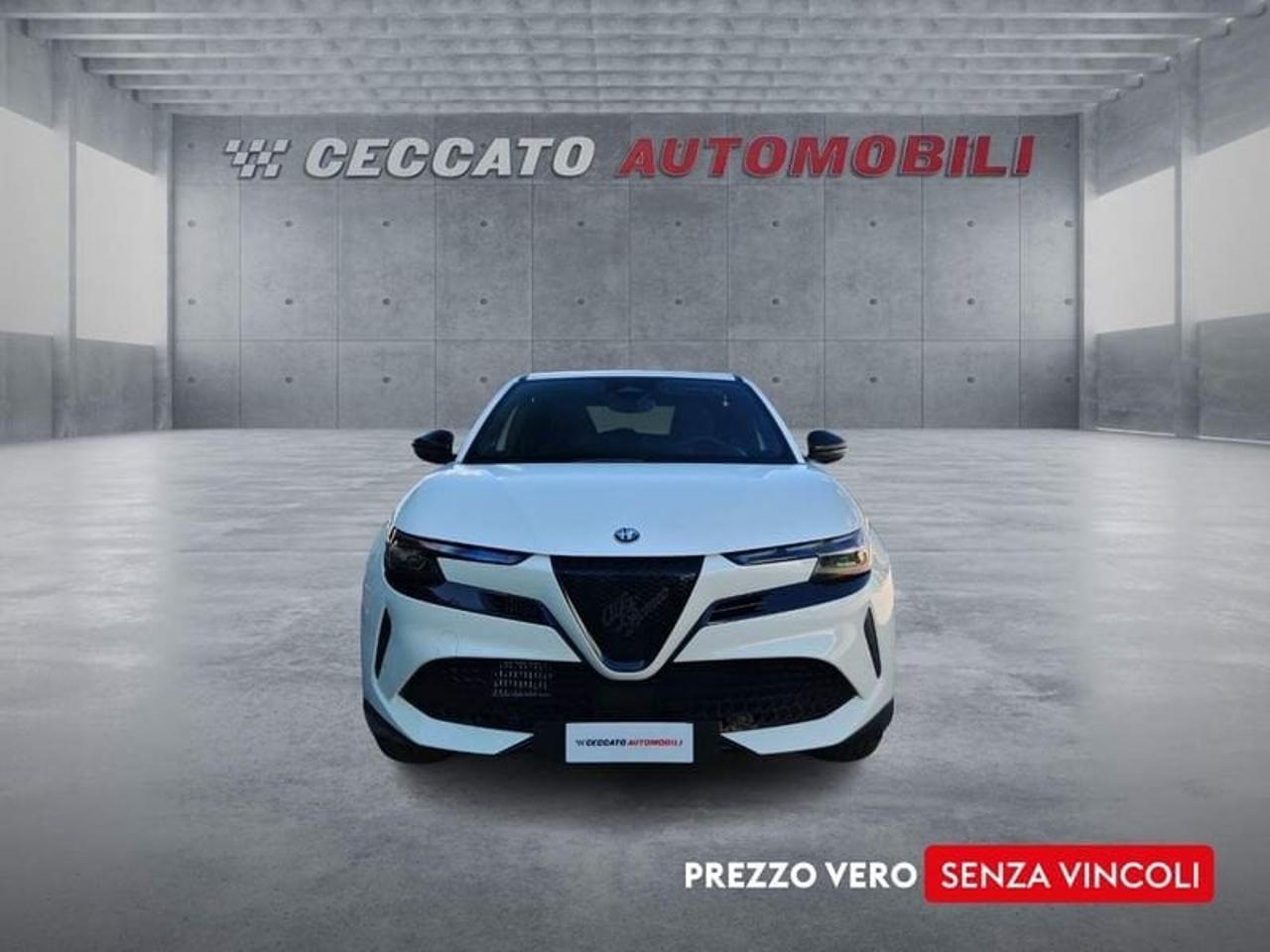 Alfa Romeo Alfa Romeo Junior usata 20