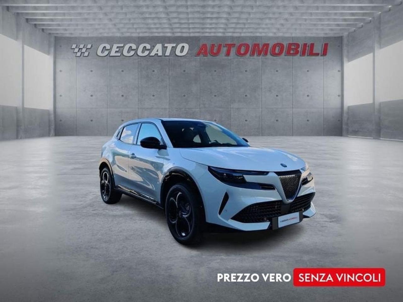 Alfa Romeo Alfa Romeo Junior usata 10