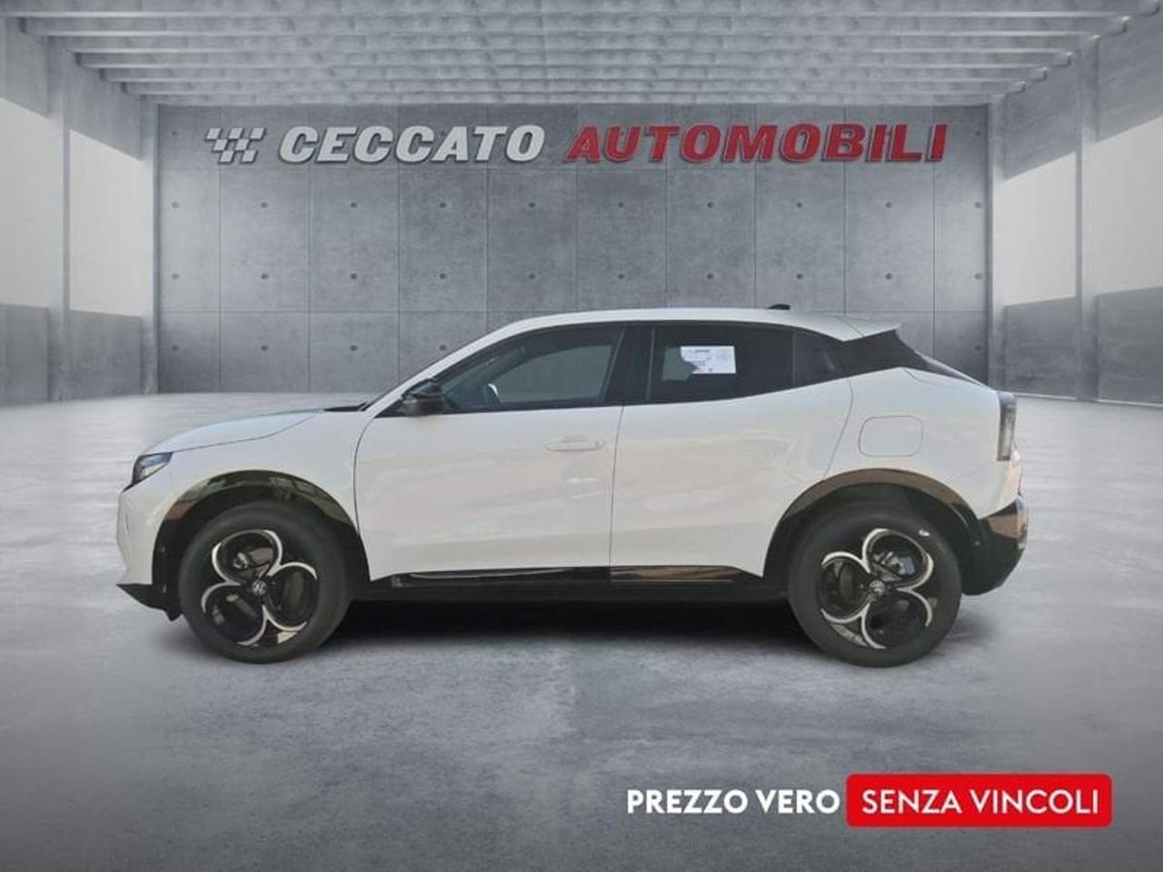 Alfa Romeo Alfa Romeo Junior usata 11