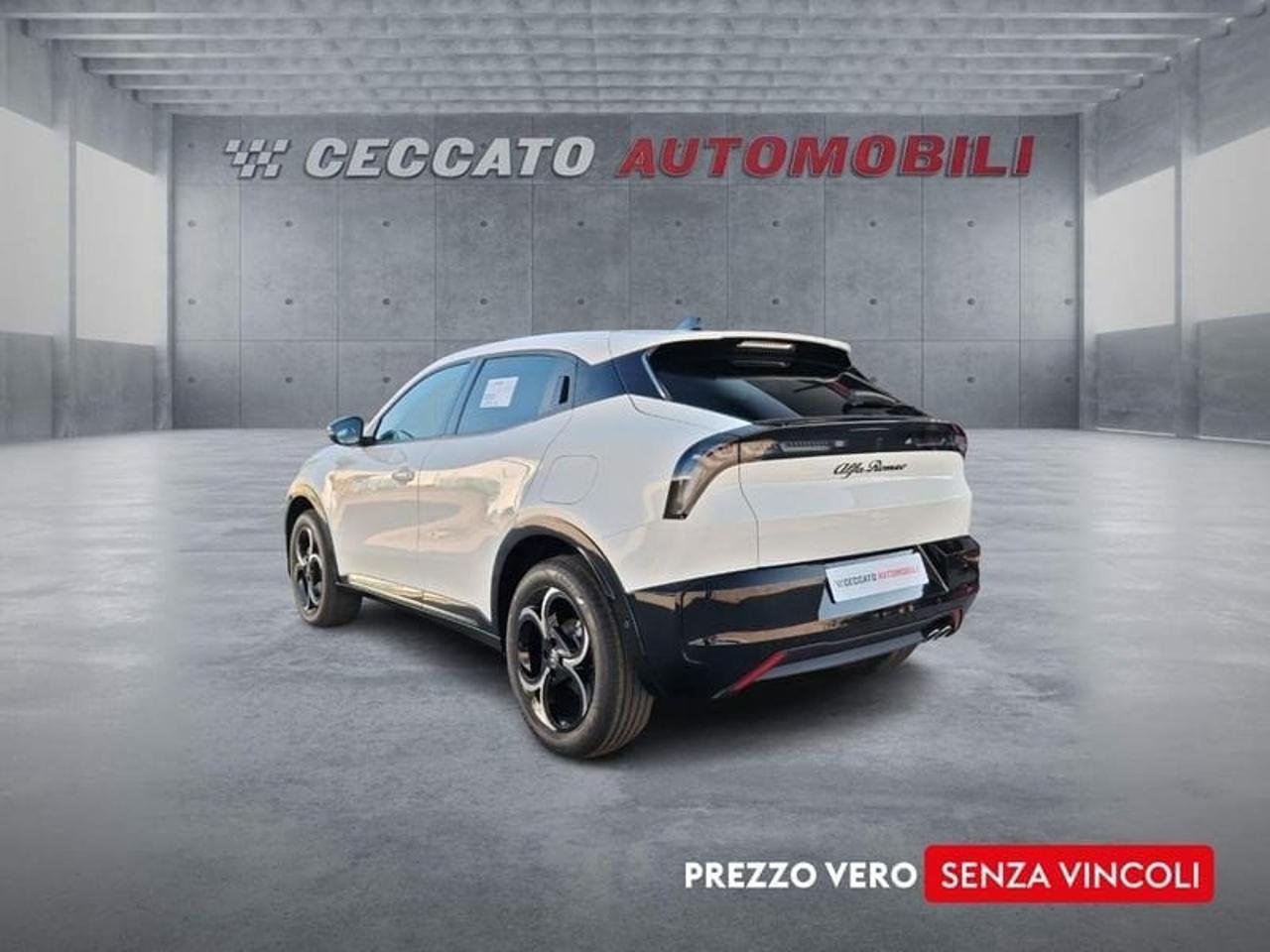 Alfa Romeo Alfa Romeo Junior usata 19