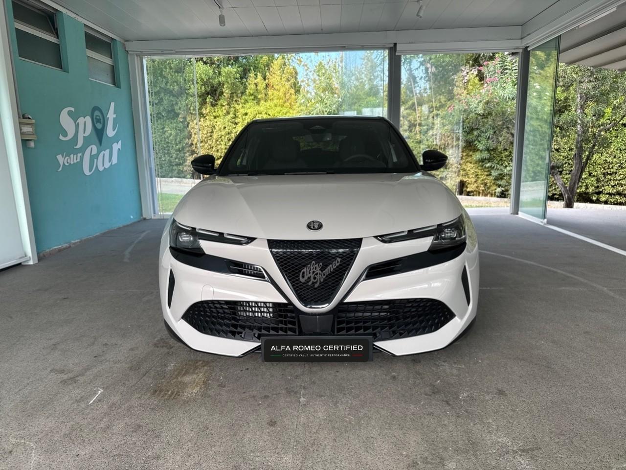 Alfa Romeo Alfa Romeo Junior usata 11