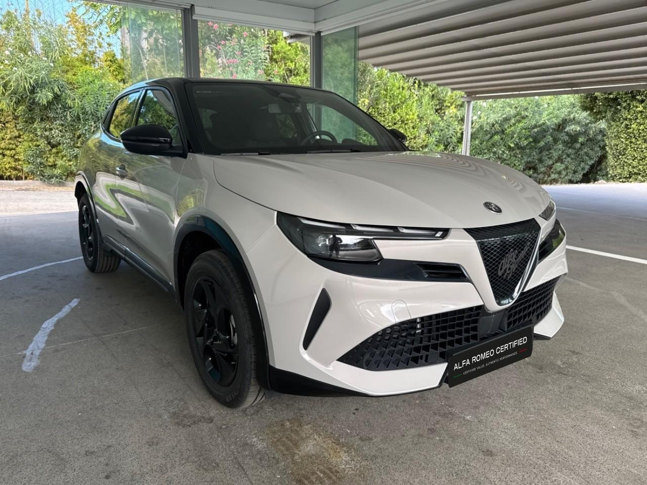 Alfa Romeo Alfa Romeo Junior usata 14