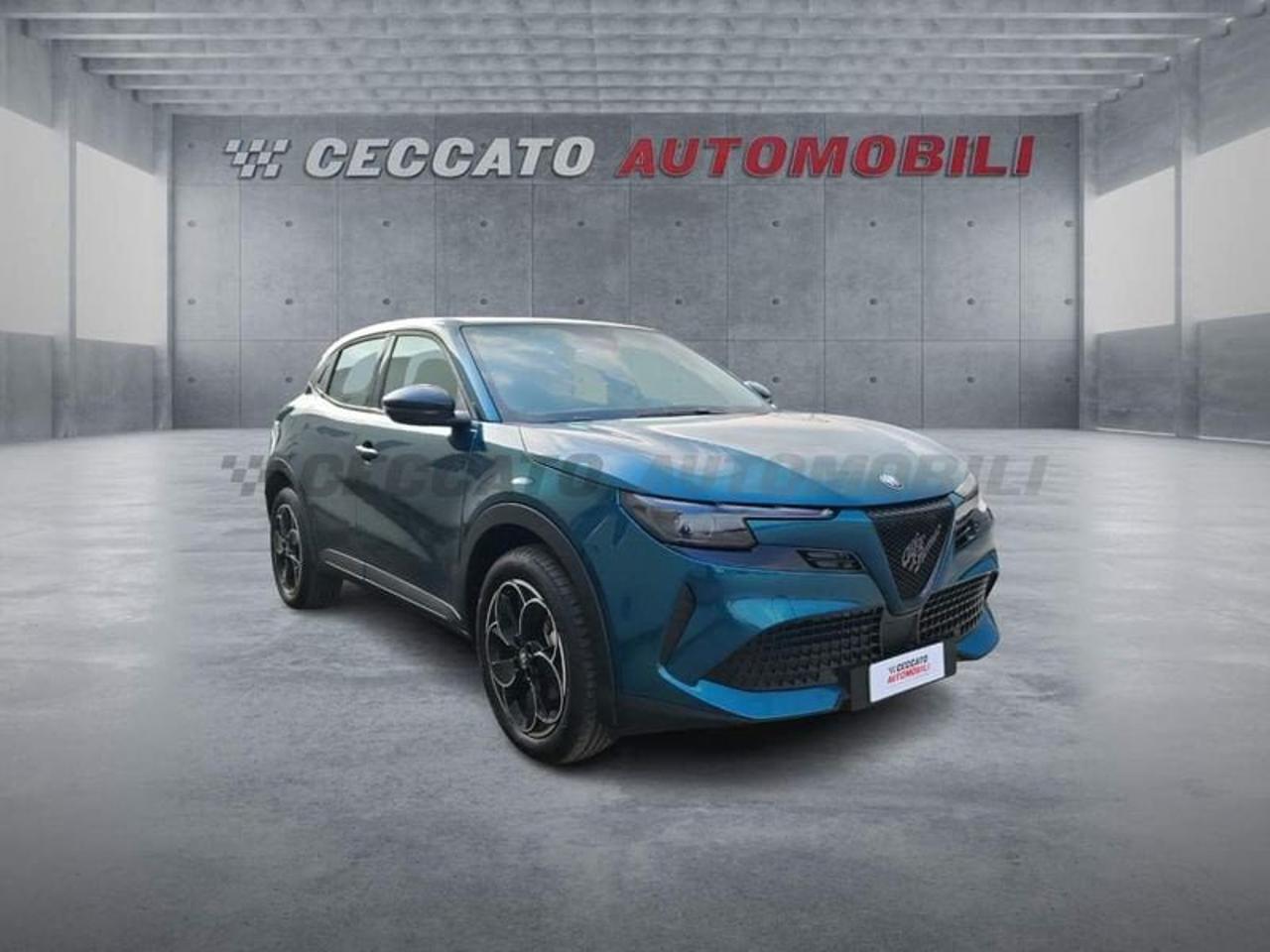 Alfa Romeo Alfa Romeo Junior usata 7