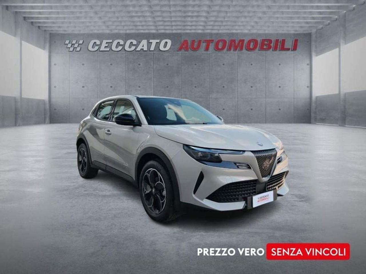 Alfa Romeo Alfa Romeo Junior usata 7