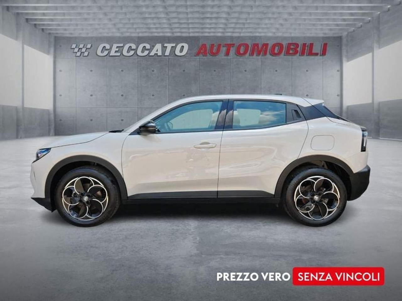 Alfa Romeo Alfa Romeo Junior usata 11