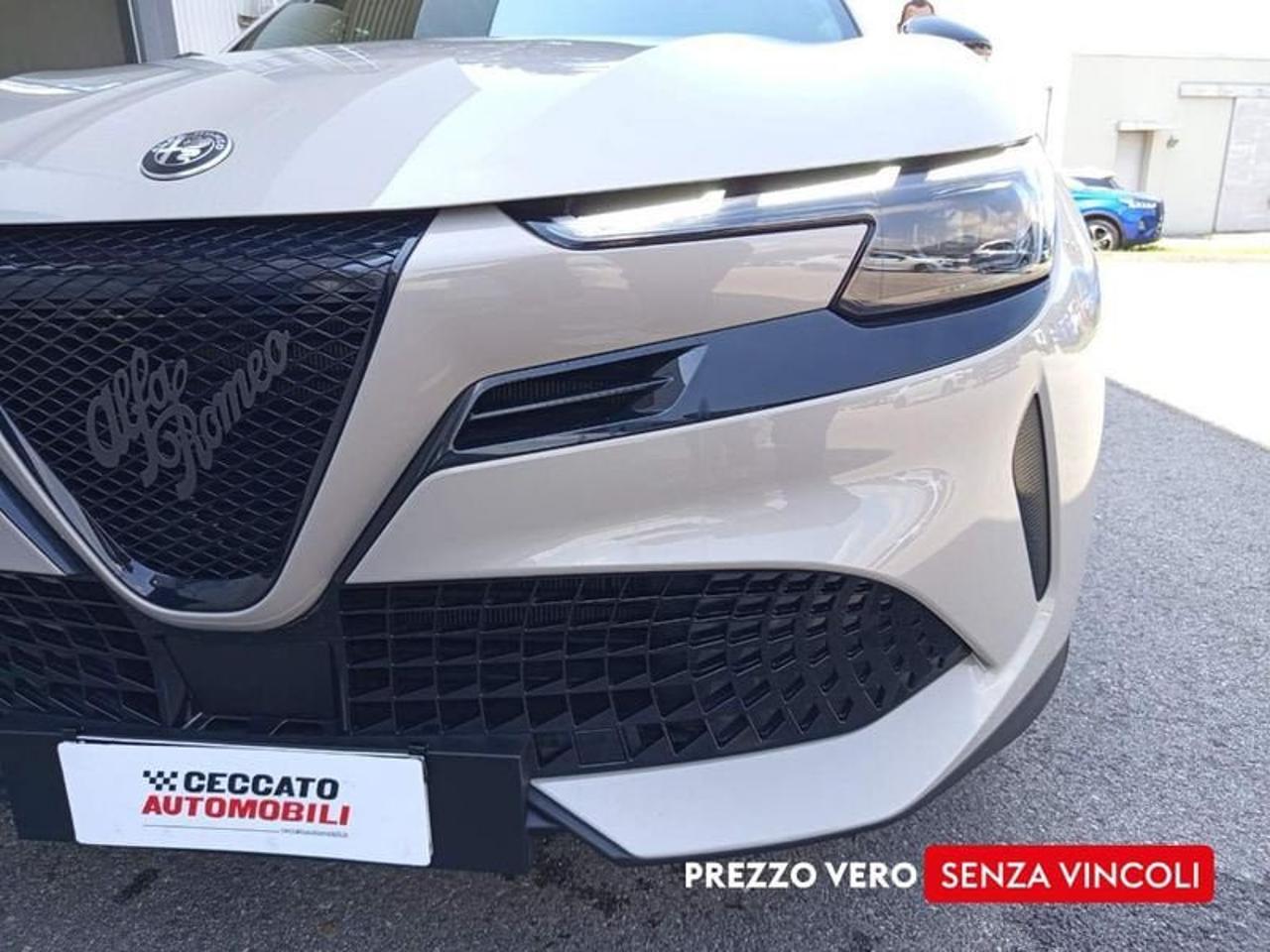 Alfa Romeo Alfa Romeo Junior usata 16