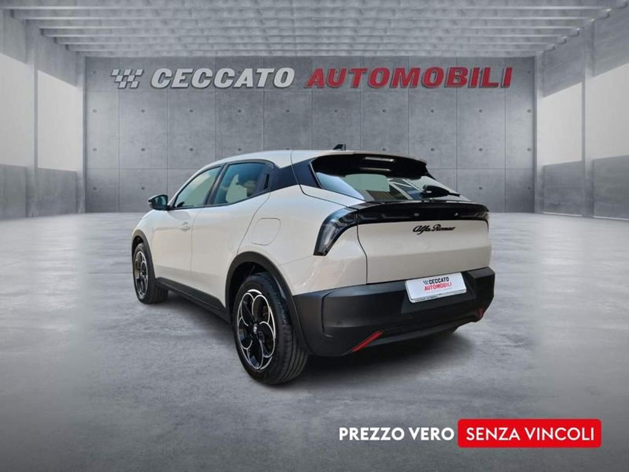 Alfa Romeo Alfa Romeo Junior usata 17