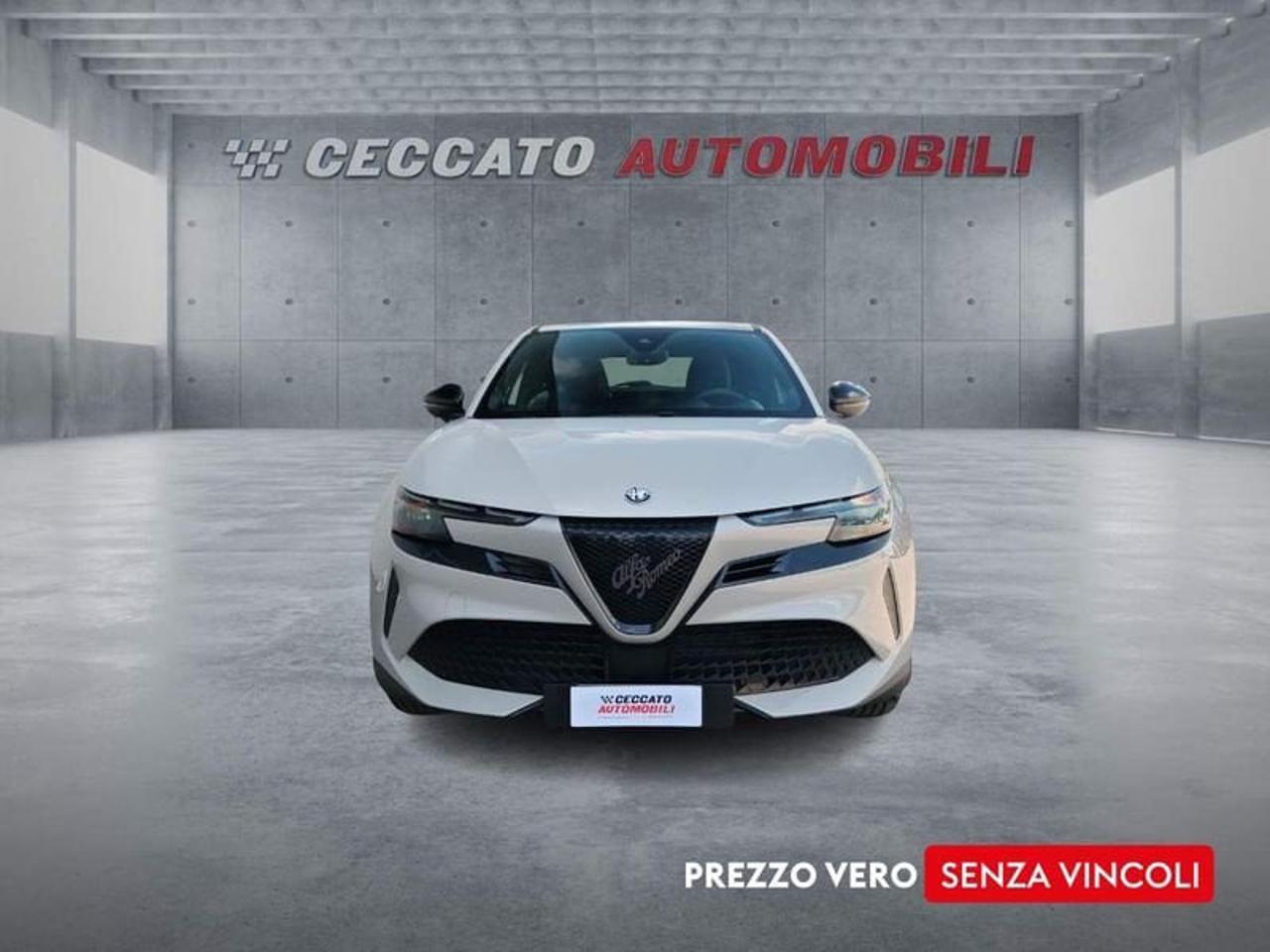 Alfa Romeo Alfa Romeo Junior usata 18