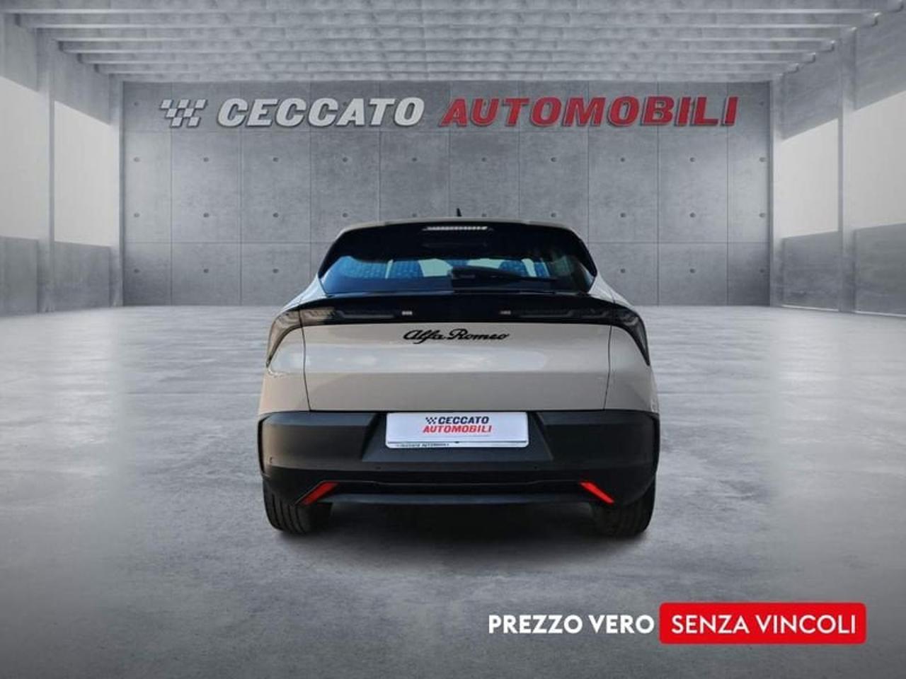 Alfa Romeo Alfa Romeo Junior usata 19