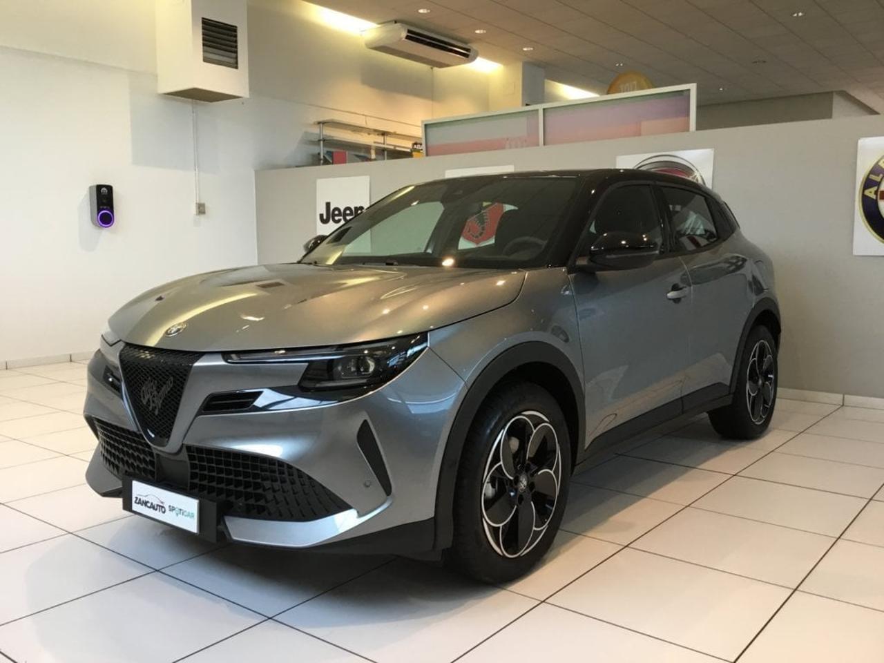 Alfa Romeo Alfa Romeo Junior usata 8
