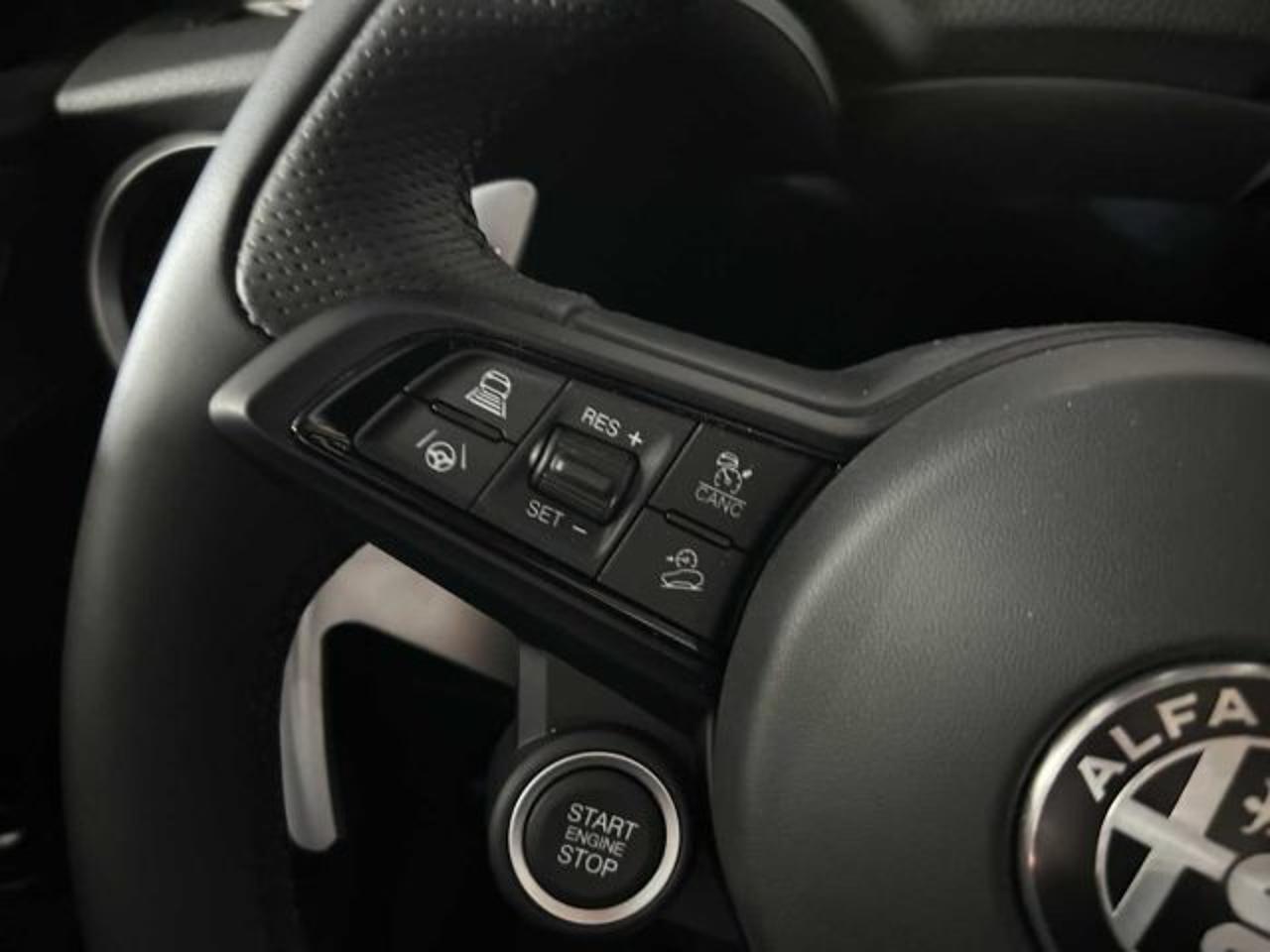 Alfa Romeo Alfa Romeo Stelvio usata 10