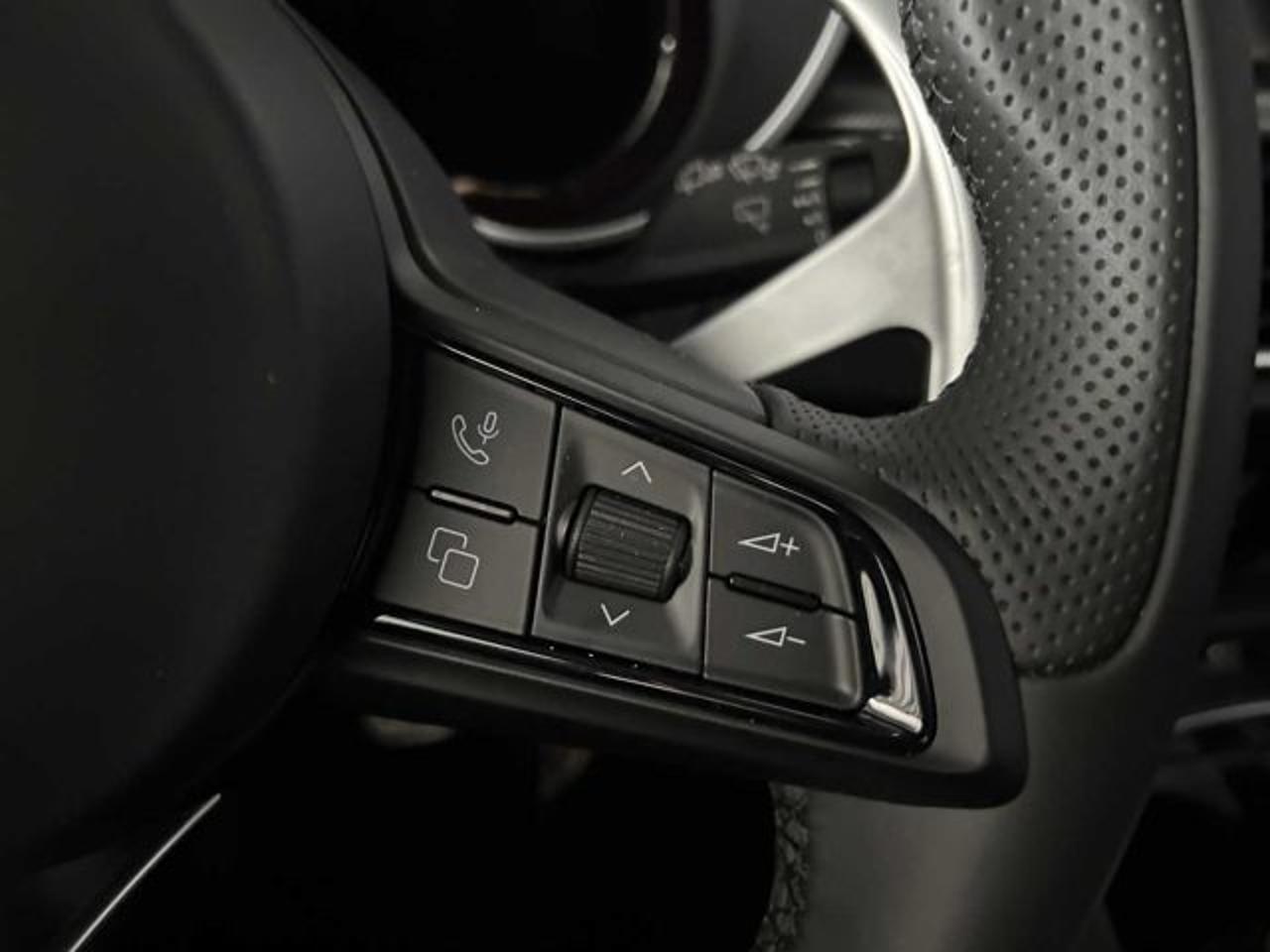Alfa Romeo Alfa Romeo Stelvio usata 12