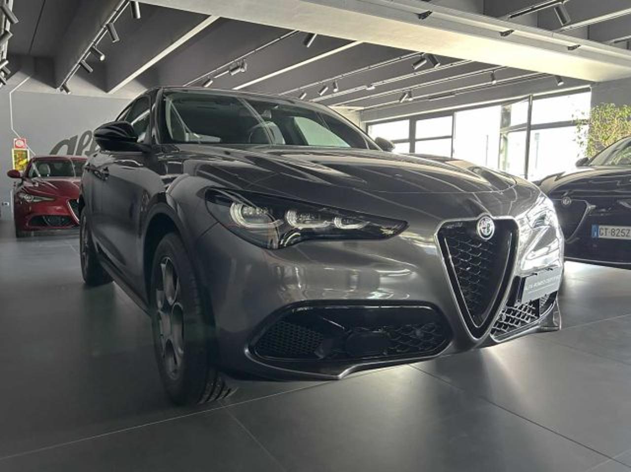 Alfa Romeo Alfa Romeo Stelvio usata 26