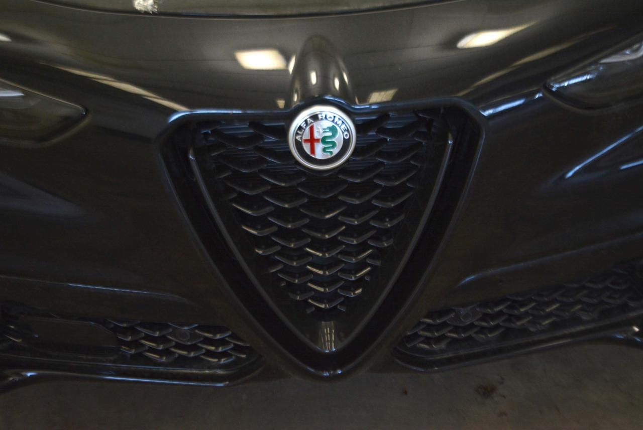 Alfa Romeo Alfa Romeo Stelvio usata 13