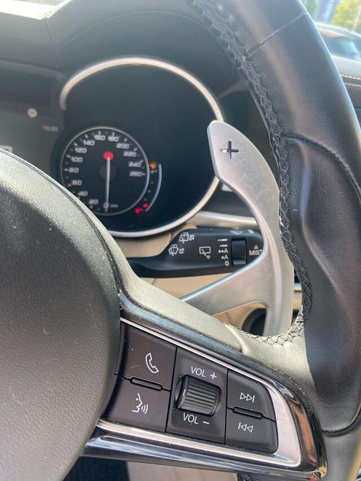 Alfa Romeo Alfa Romeo Stelvio usata 19