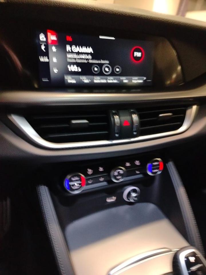 Alfa Romeo Alfa Romeo Stelvio usata 25