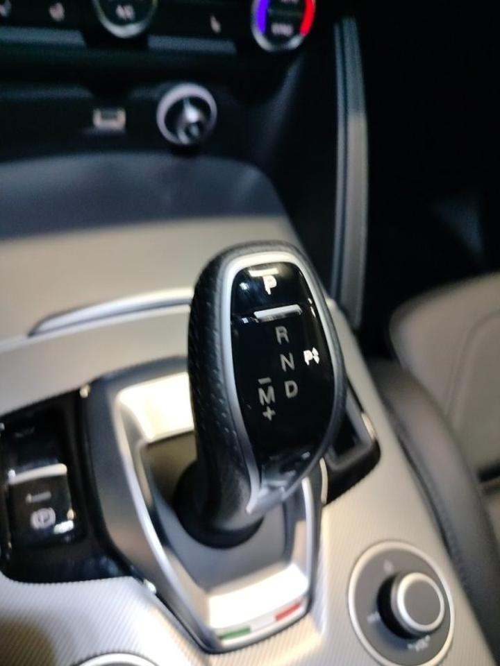 Alfa Romeo Alfa Romeo Stelvio usata 26
