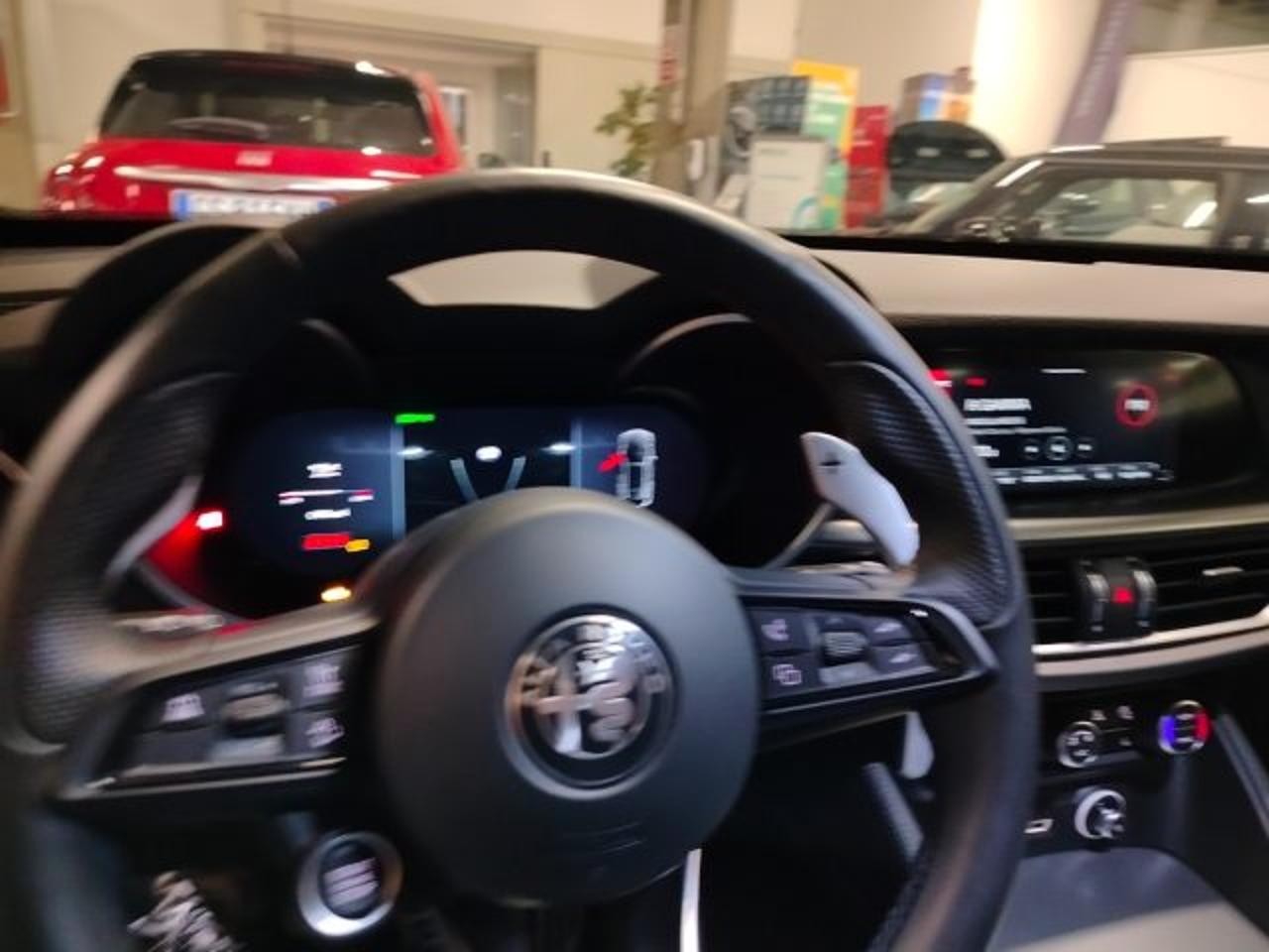 Alfa Romeo Alfa Romeo Stelvio usata 28