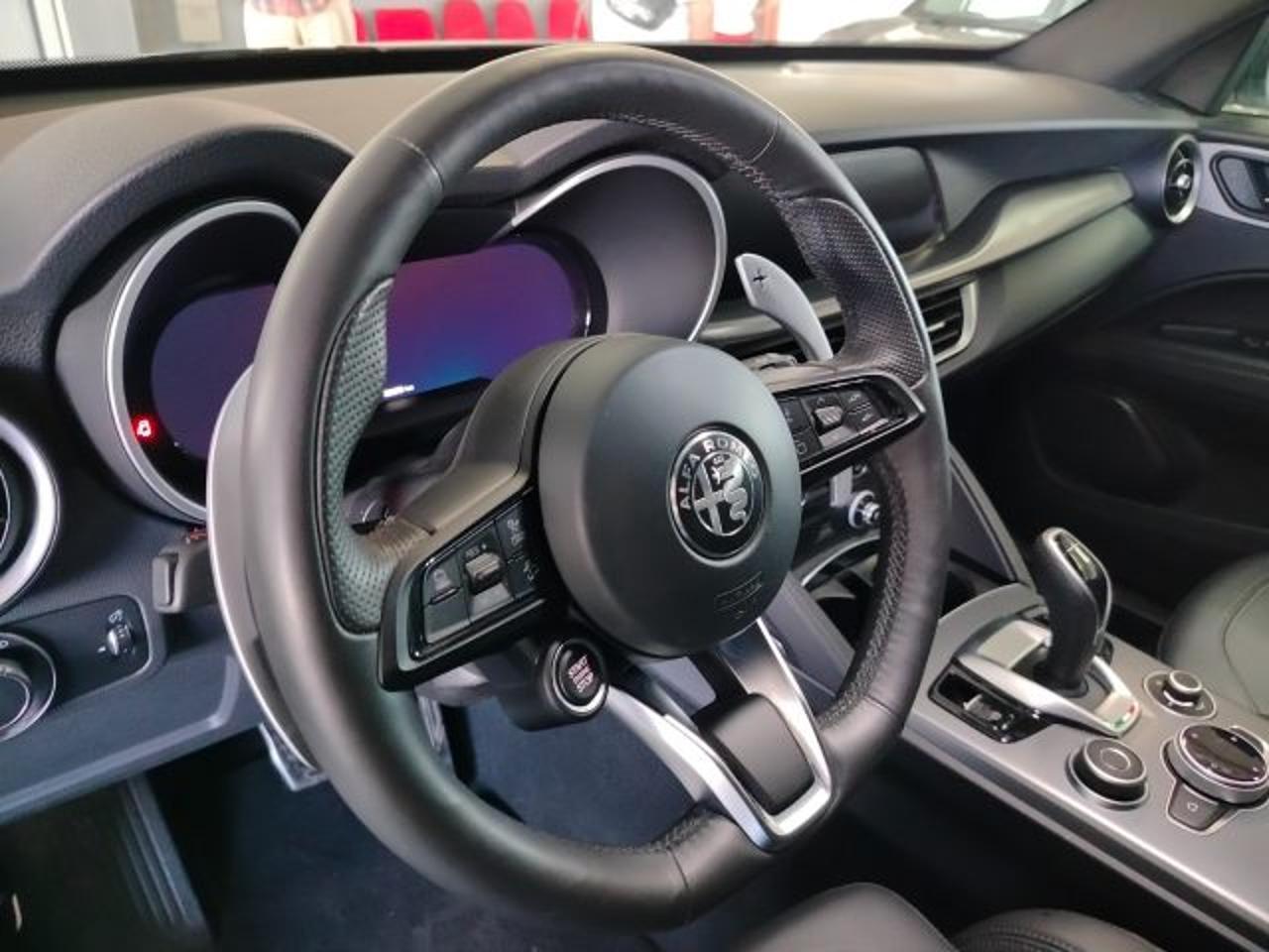Alfa Romeo Alfa Romeo Stelvio usata 15