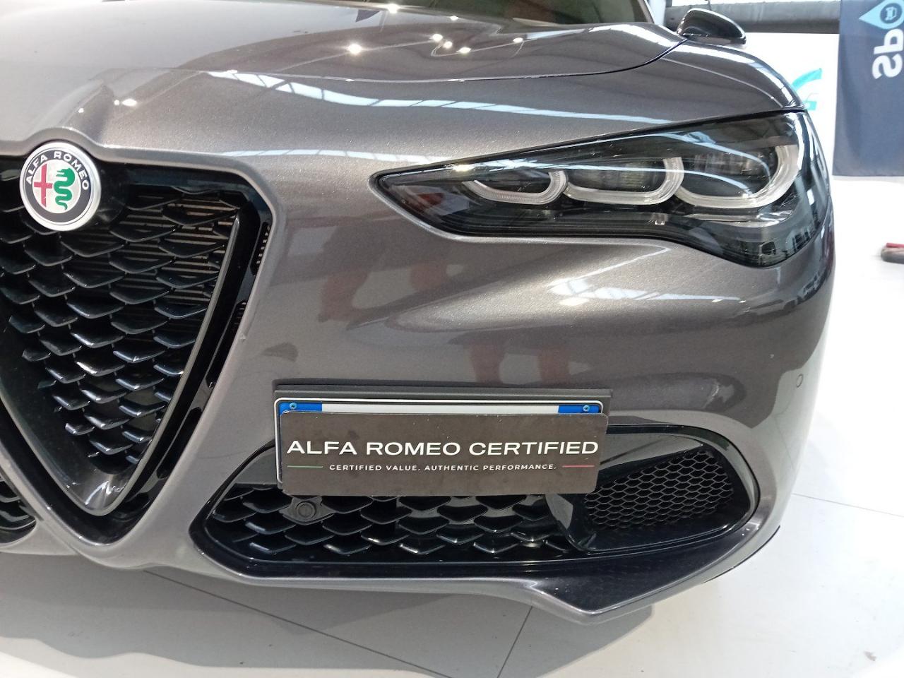 Alfa Romeo Alfa Romeo Stelvio usata 20