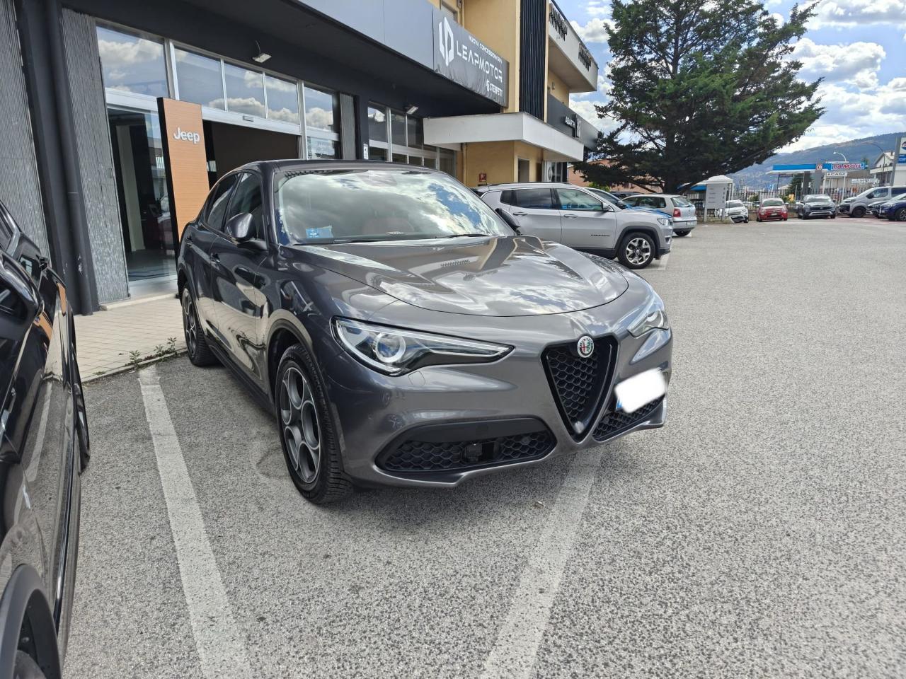 Alfa Romeo Alfa Romeo Stelvio usata 11
