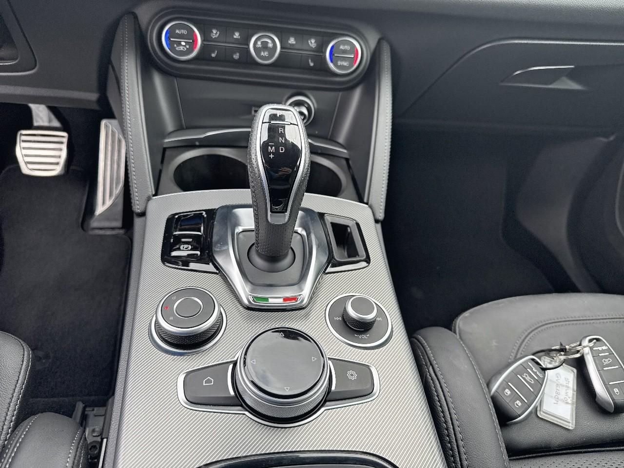 Alfa Romeo Alfa Romeo Stelvio usata 7