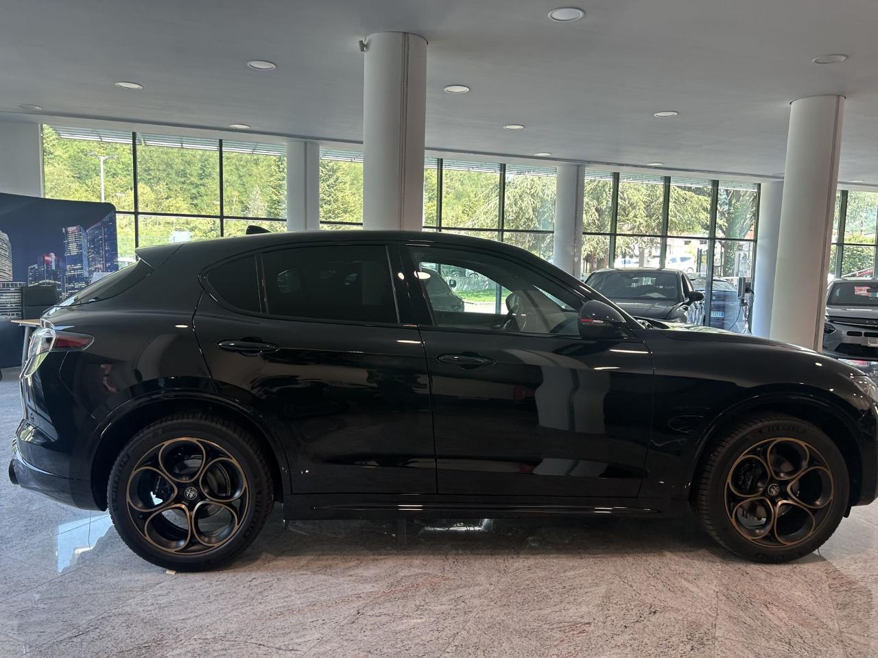 Alfa Romeo Alfa Romeo Stelvio usata 13