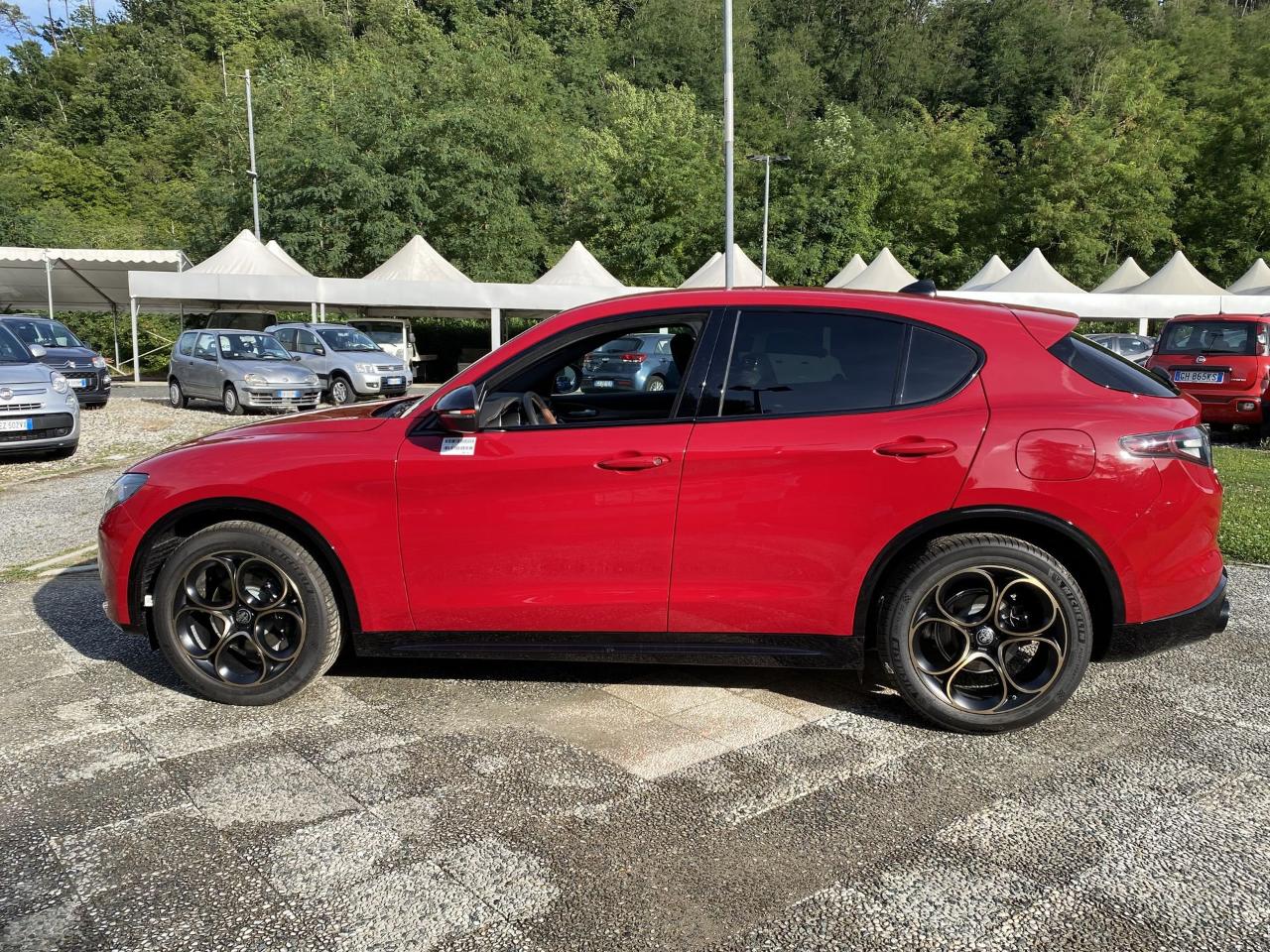 Alfa Romeo Alfa Romeo Stelvio usata 14