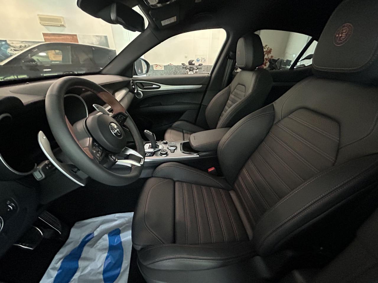 Alfa Romeo Alfa Romeo Stelvio usata 15