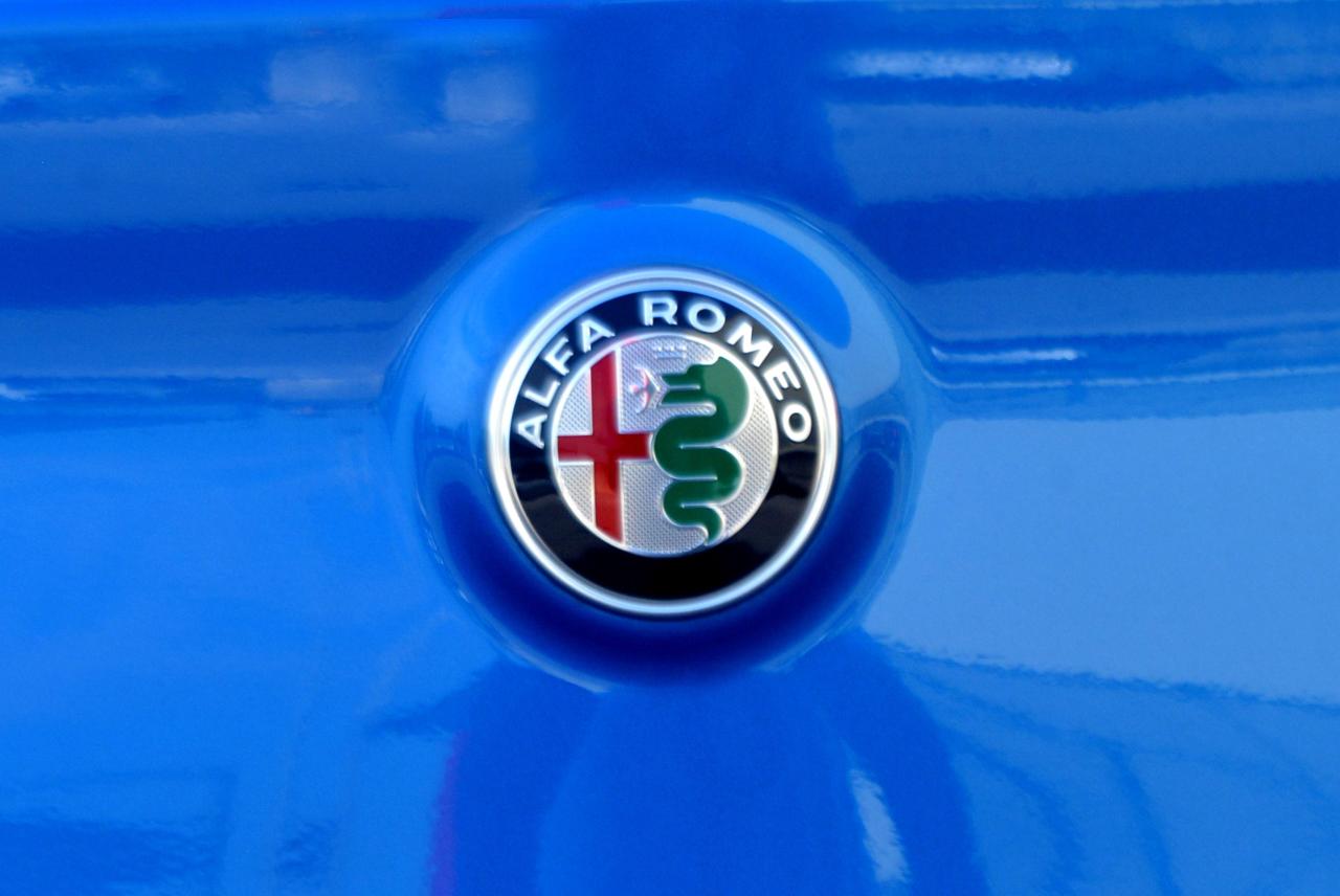Alfa Romeo Alfa Romeo Stelvio usata 16