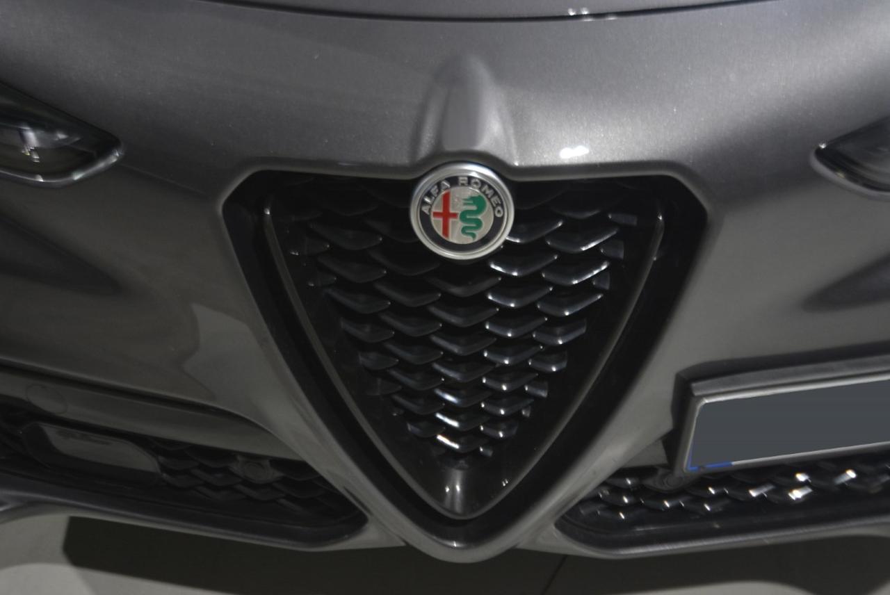 Alfa Romeo Alfa Romeo Stelvio usata 13