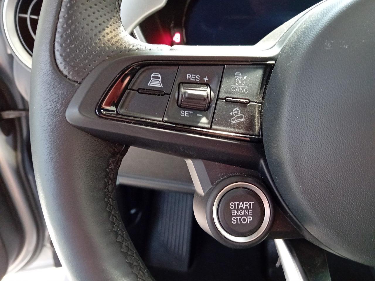 Alfa Romeo Alfa Romeo Stelvio usata 7
