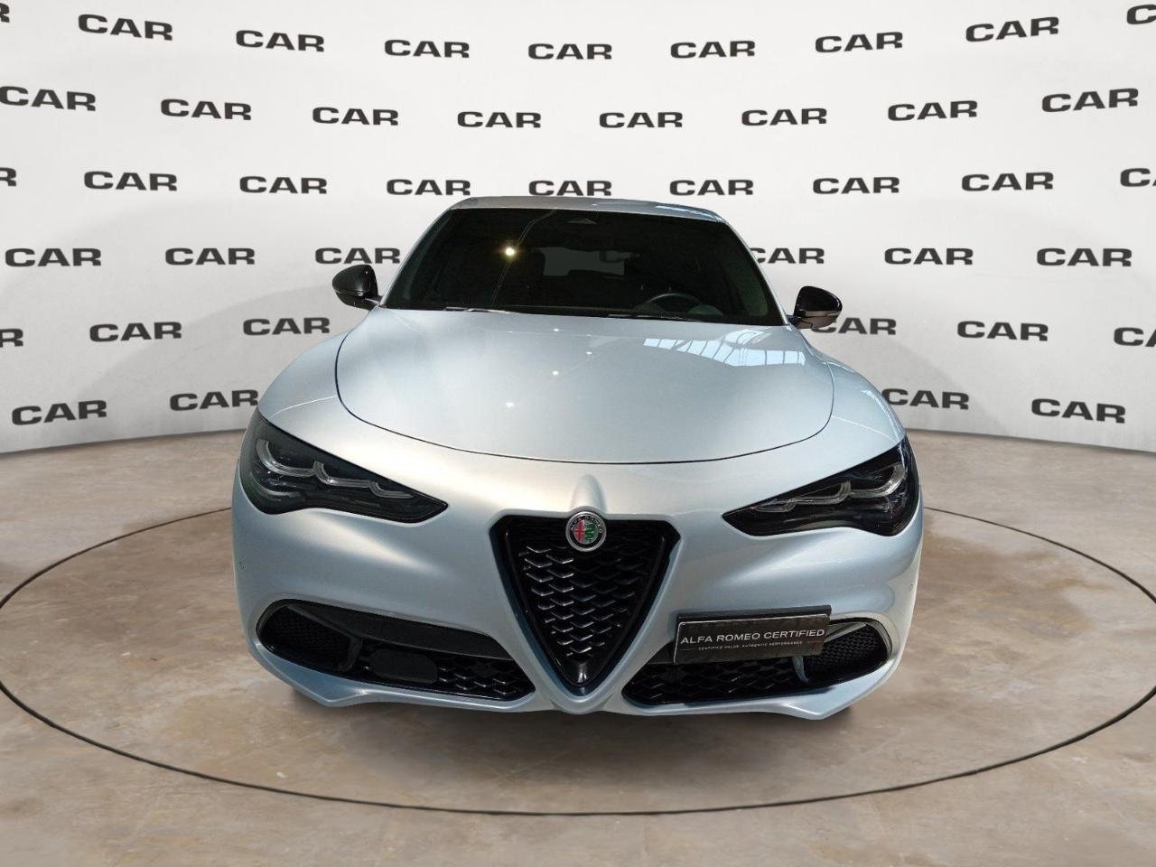 Alfa Romeo Alfa Romeo Stelvio usata 11
